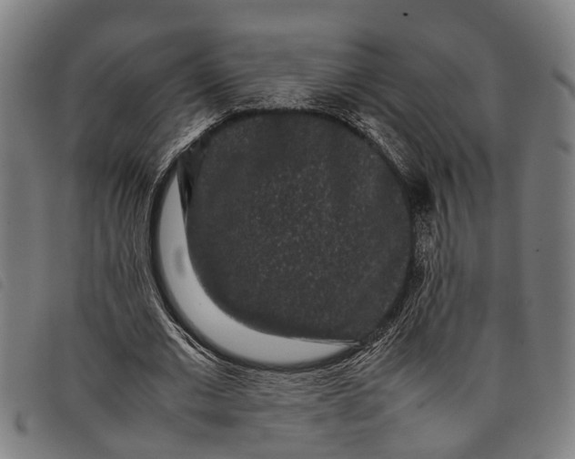 X0000097800677200804041315