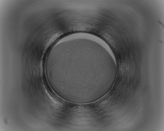 X0000097800678200804041315