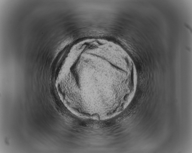 X0000097800679200804041315