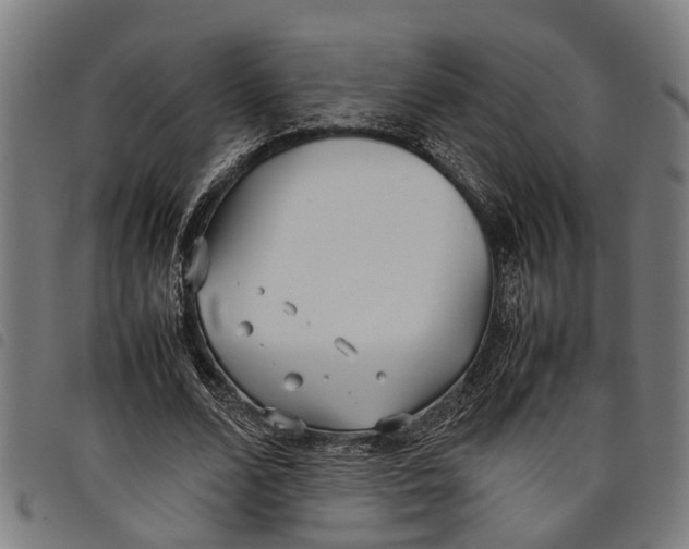 X0000097800680200804041315