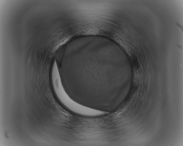 X0000097800681200804041315