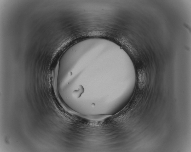 X0000097800684200804041315