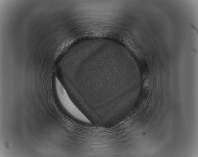 X0000097800685200804041315