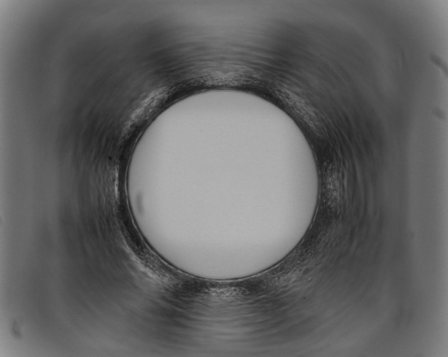 X0000097800686200804041315