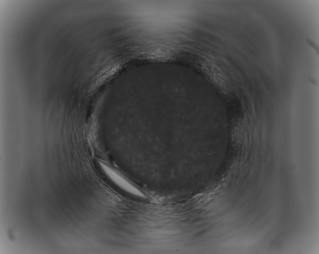 X0000097800689200804041315