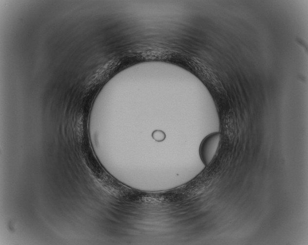 X0000097800690200804041315