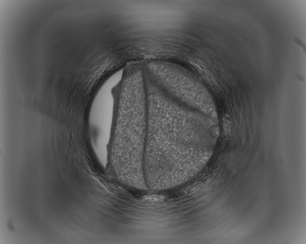 X0000097800691200804041314