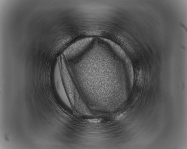 X0000097800692200804041314