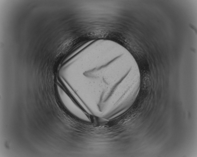 X0000097800693200804041314