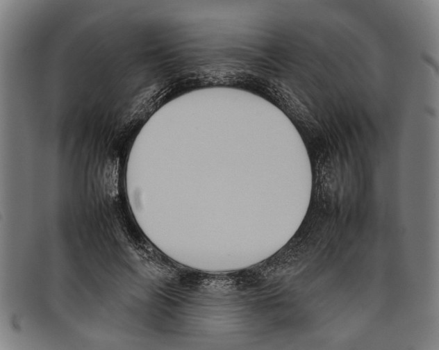 X0000097800694200804041314