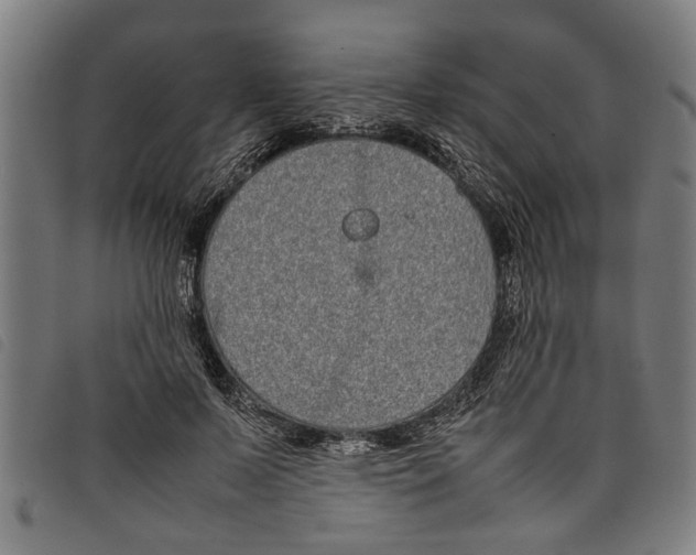 X0000097800695200804041314