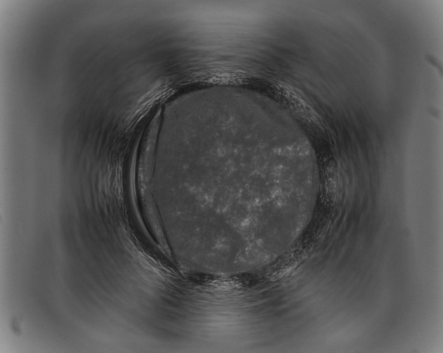 X0000097800696200804041314