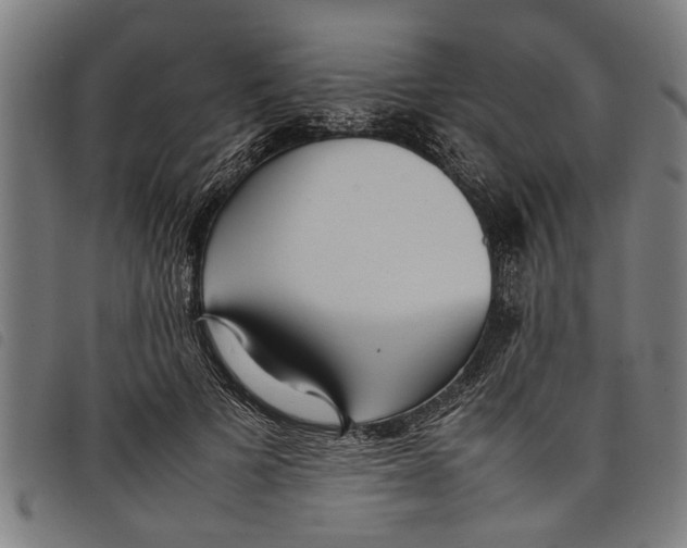 X0000097800697200804041314