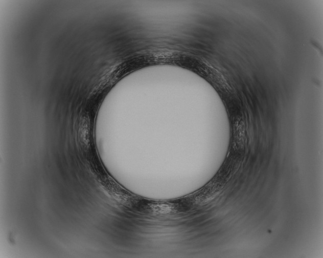 X0000097800698200804041314