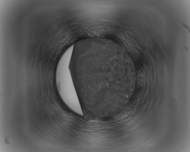 X0000097800699200804041314