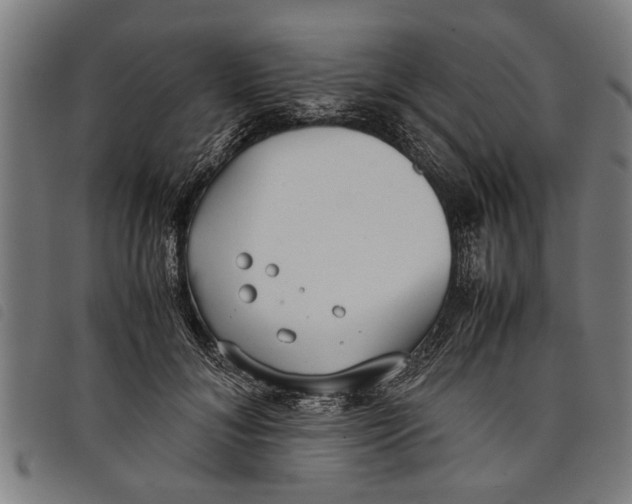 X0000097800700200804041314