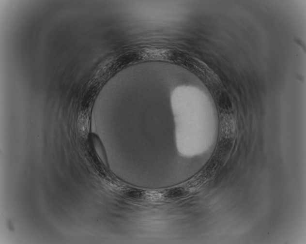 X0000097800701200804041314