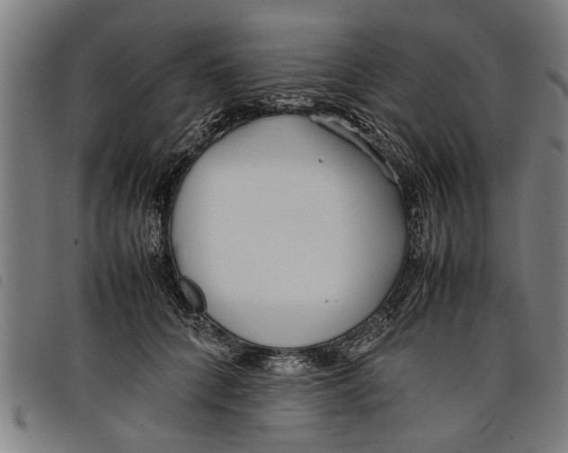 X0000097800704200804041314