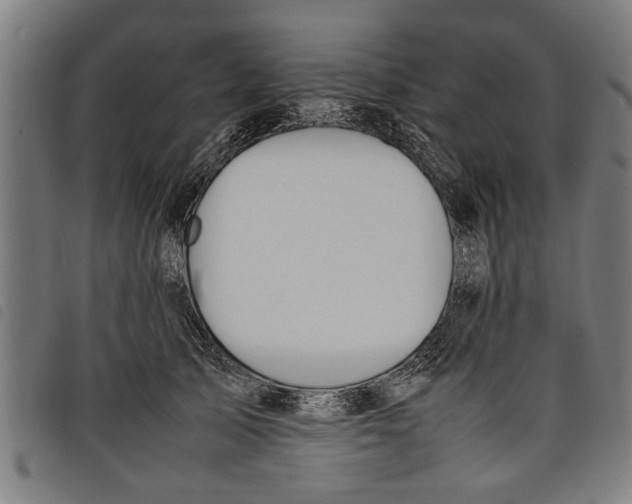 X0000097800705200804041314