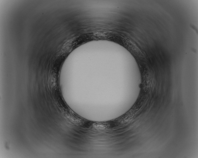 X0000097800706200804041314