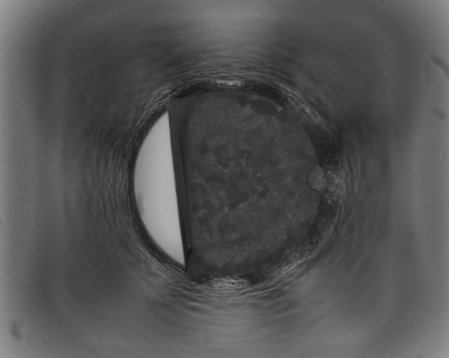 X0000097800707200804041314