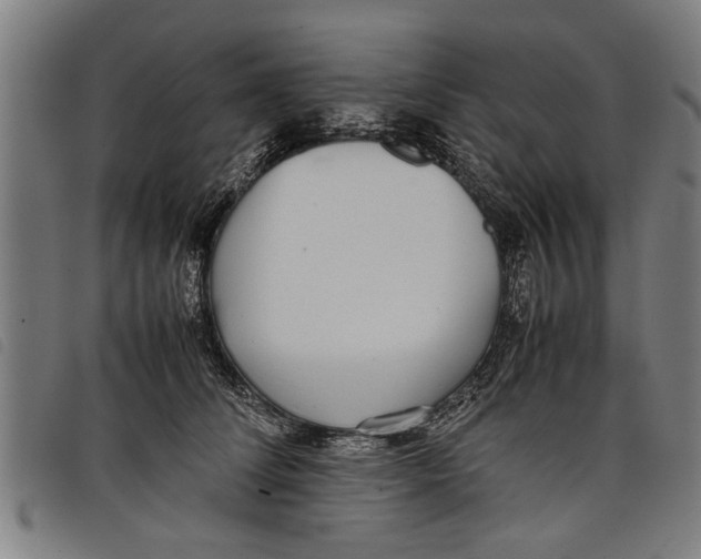 X0000097800708200804041314