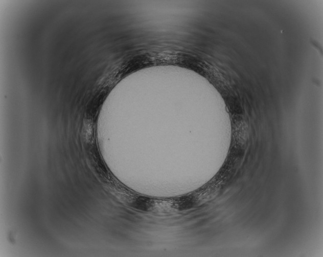 X0000097800709200804041314