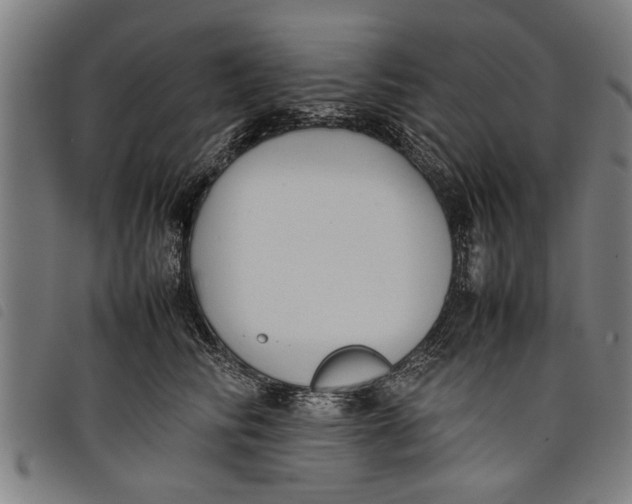 X0000097800710200804041314