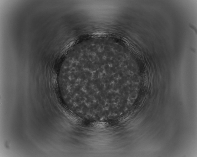 X0000097800711200804041314