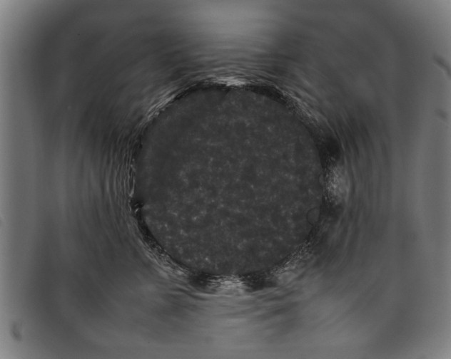 X0000097800715200804041314