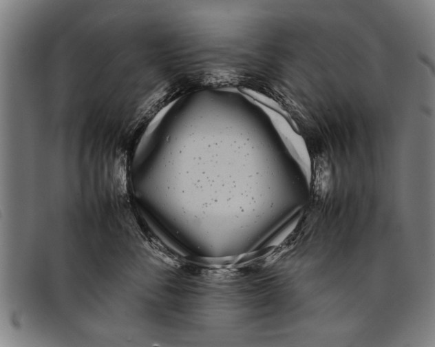 X0000097800716200804041314