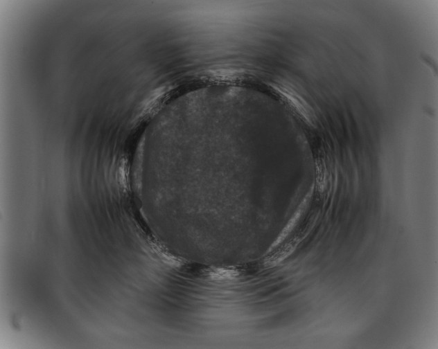 X0000097800718200804041314