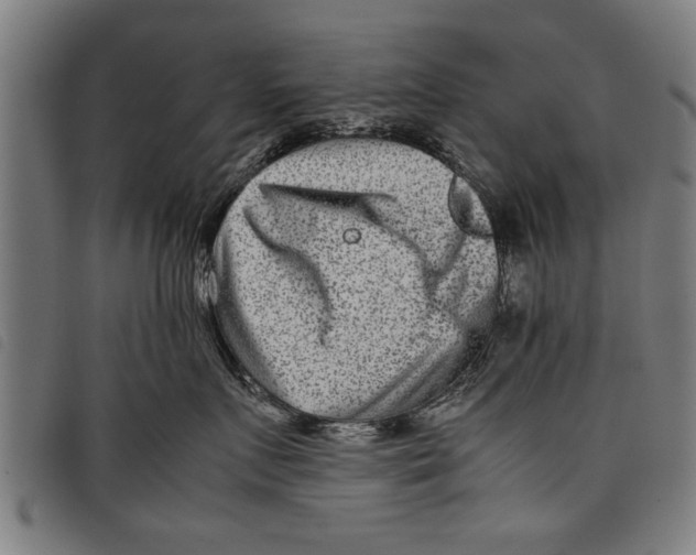 X0000097800719200804041314