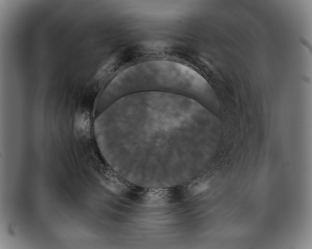 X0000097800720200804041314