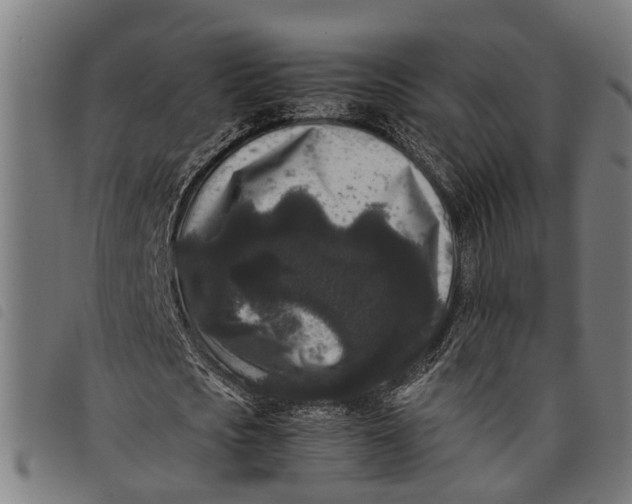 X0000097800721200804041313