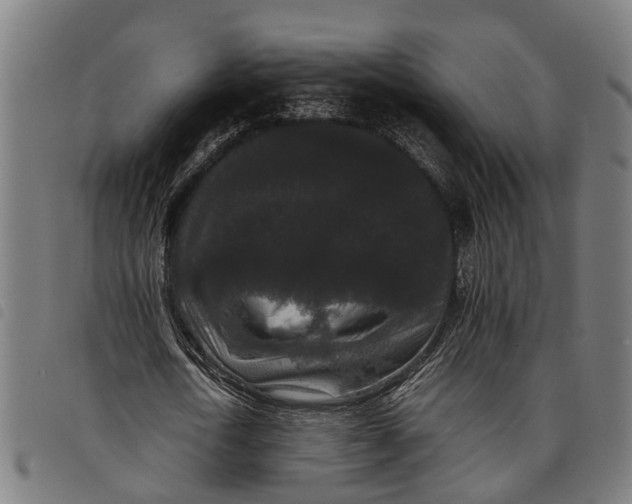 X0000097800722200804041313