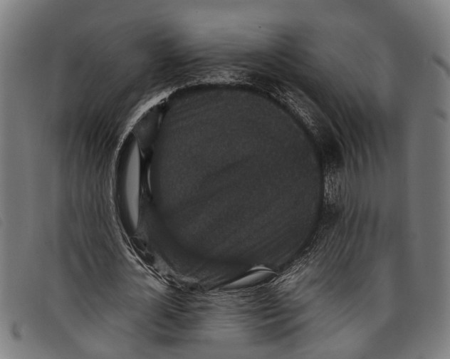 X0000097800724200804041313