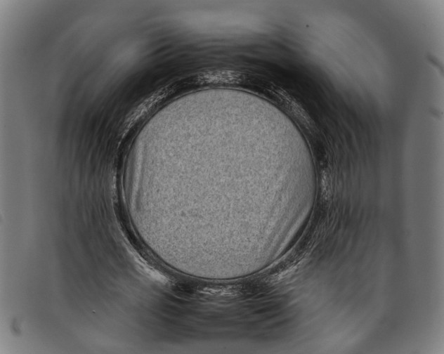 X0000097800725200804041313