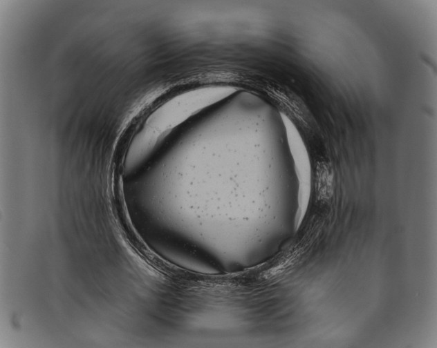 X0000097800726200804041314