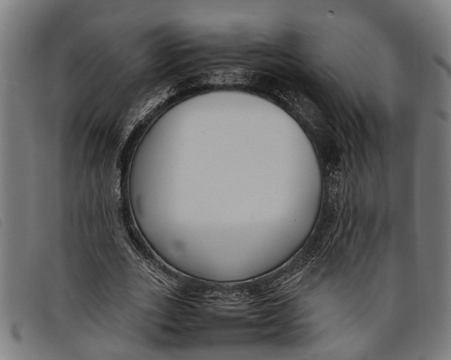 X0000097800727200804041314