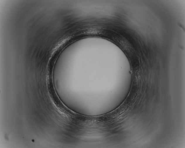 X0000097800728200804041314