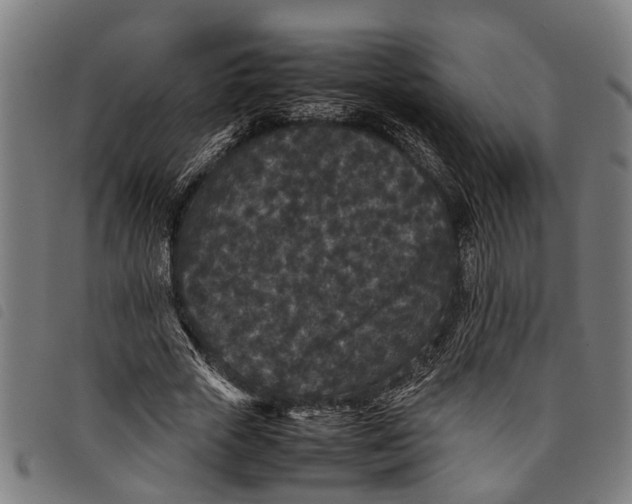 X0000097800729200804041314