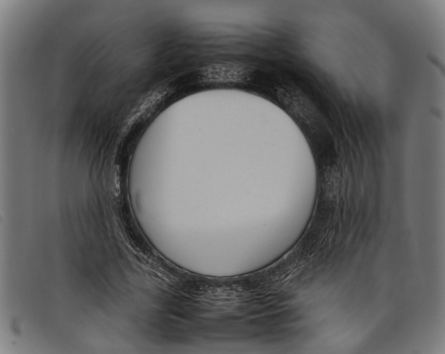 X0000097800731200804041314