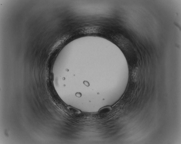 X0000097800732200804041314