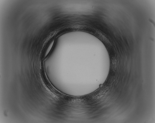 X0000097800734200804041314