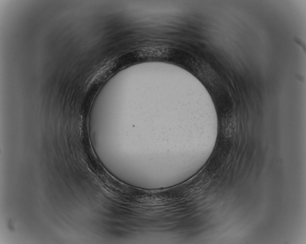 X0000097800735200804041314