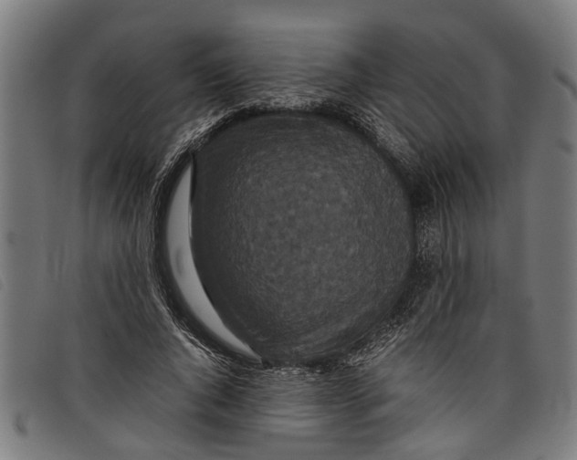 X0000097800736200804041314