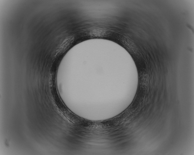 X0000097800738200804041314