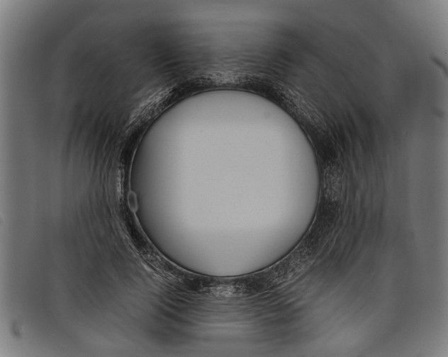 X0000097800740200804041314