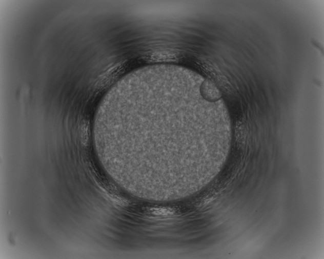 X0000097800741200804041314